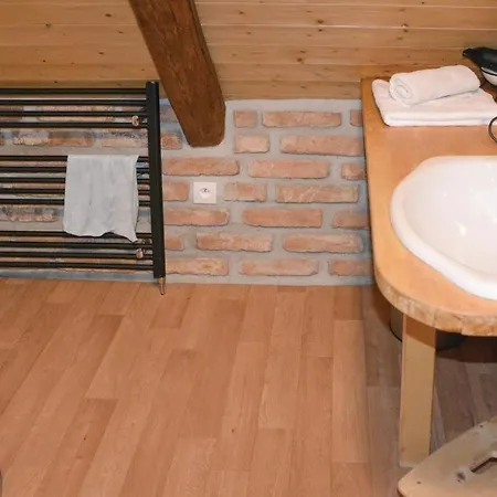 Semesterbostad Four Bedroom Holiday In Rybniky *