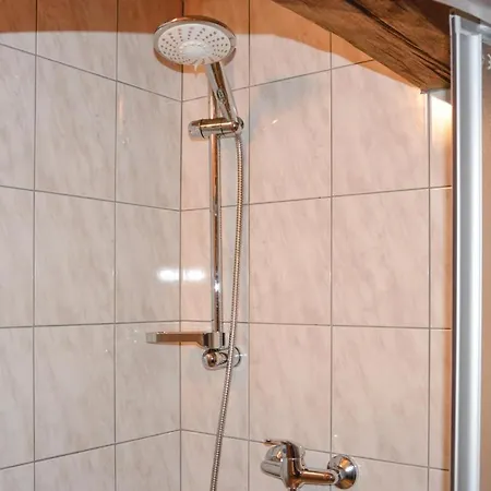 Semesterbostad Four Bedroom Holiday In Rybniky